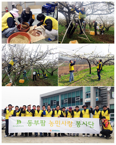 동부팜한농, 농번기 일손돕기 나서