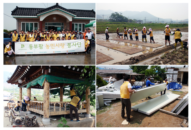 동부팜한농 봉사단, 1사1촌 자매결연 마을서 봉사활동